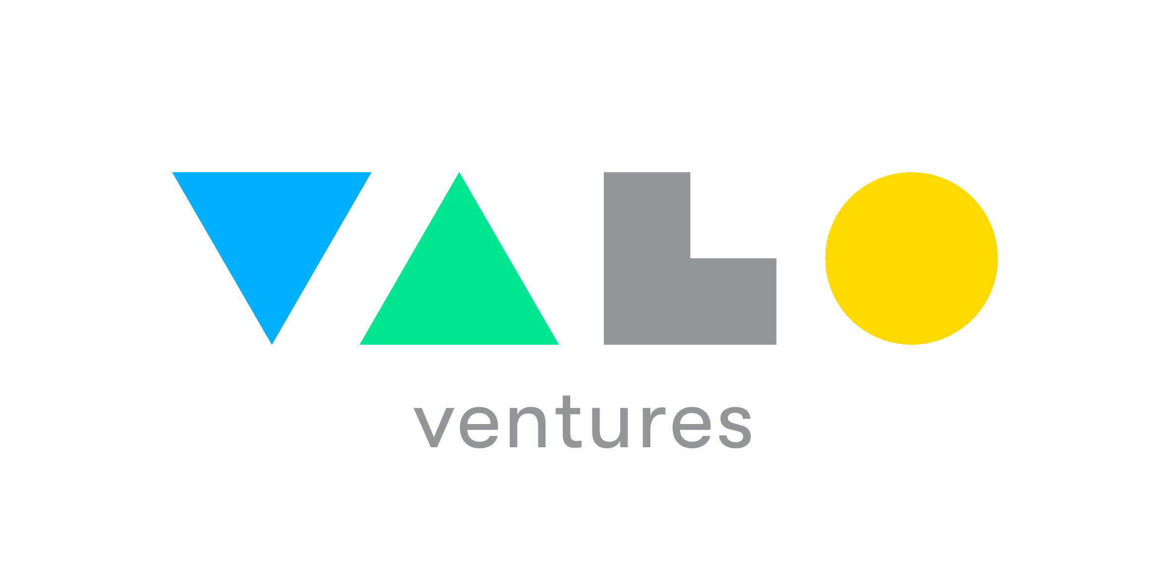 Valo Ventures Logo